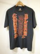 画像1: 80's SCREEN STARS Concrete Blonde FREE BAND T-SHIRT (1)