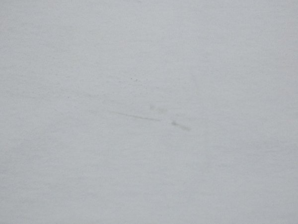 画像12: 90's HARLEY DAVIDSON OFFICIAL DEALER SHOP BOTH SIDE PRINT T-SHIRT (12)