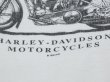 画像6: 90's HARLEY DAVIDSON OFFICIAL DEALER SHOP BOTH SIDE PRINT T-SHIRT (6)