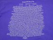 画像8: 90's Hanes antone's THE SPIRIT OF LITTLE WALTER 17th Anniversary T-SHIRT (8)