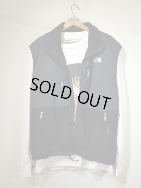 画像3: 90s THE NORTH FACE DENALI POLARTEC FLEECE VEST (3)