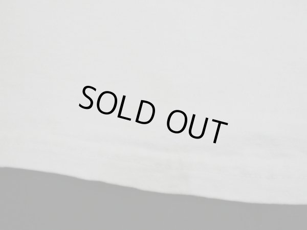 画像9: 90s FRUIT OF THE LOOM TACO BELL CM ADVERTISING PRINT T-SHIRT (9)