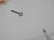 画像9: 90s TABASCO MOSQUITO FUNNY PRINT T-SHIRT MADE IN USA (9)