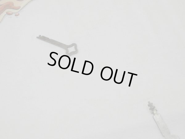 画像9: 90s TABASCO MOSQUITO FUNNY PRINT T-SHIRT MADE IN USA (9)