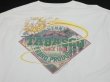 画像10: 90s TABASCO MOSQUITO FUNNY PRINT T-SHIRT MADE IN USA (10)