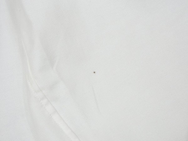 画像10: 80s 90s Brooks Brothers WHITE OX FORD  POLO COLLAR BD BUTTON DOWN L/S SHIRT MADE IN USA DEAD STOCK (10)
