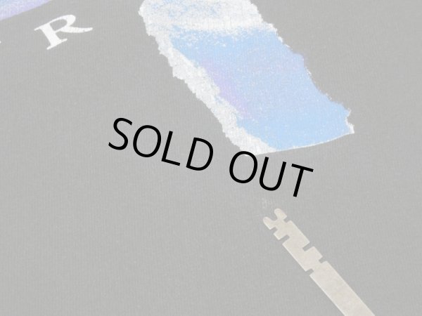 画像7: 90s All Sport Rush test for echo US TOUR T-SHIRT (7)