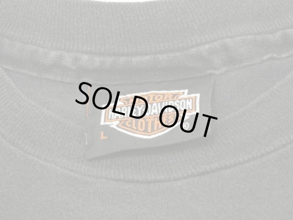 画像3: 80s Hanes HARLEY DAVIDSON ALASKA DEALER BOTH SIDE PRINT T-SHIRT (3)