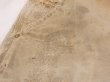 画像7: 10s Carhartt DOUBLE KNEE DUCK PAINTER WORK PANTS MADE IN USA DISTRESSED (7)