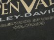 画像11: 00s HARLEY DAVIDSON FULL PRINT LONG SLEEVE L/S T-SHIRT MADE IN USA  (11)