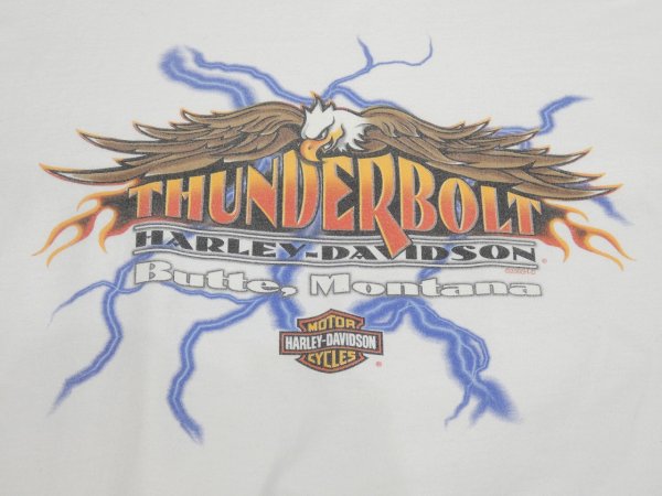 画像12: 00s HOLOUBEK HARLEY DAVIDSON FULL PRINT LONG SLEEVE L/S T-SHIRT MADE IN USA (12)