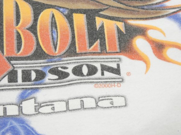 画像13: 00s HOLOUBEK HARLEY DAVIDSON FULL PRINT LONG SLEEVE L/S T-SHIRT MADE IN USA (13)