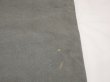 画像11: 10s Carhartt DOUBLE KNEE DUCK PAINTER WORK PANTS MOSS GREEN (2) (11)
