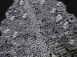 画像6: 90s FRUIT OF THE LOOM THE OLD TESTAMENT FAMILY TREE T-SHIRT (6)