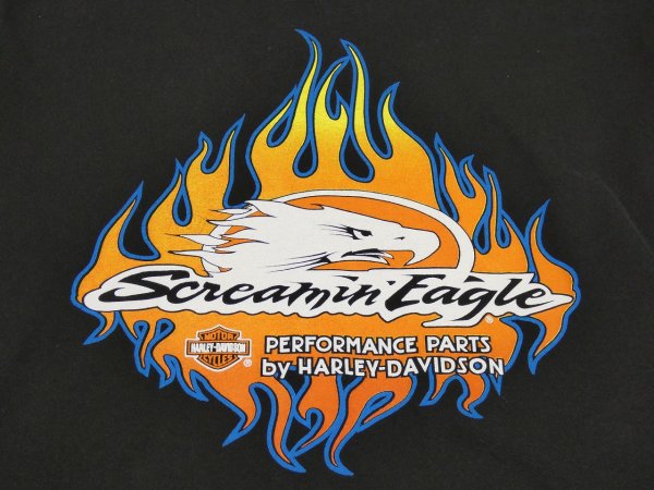 画像5: 00s  HARLEY DAVIDSON FLONT SLEEVE PRINT LONG SLEEVE L/S T-SHIRT (5)