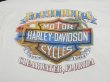 画像10: 00s HARLEY DAVIDSON OFFICIAL FLAME EAGLE DEALER SHOP BOTH SIDE PRINT T-SHIRT (10)