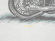 画像7: 90s HARLEY DAVIDSON OFFICIAL DEALER SHOP BOTH SIDE PRINT T-SHIRT (7)