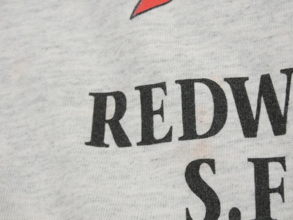 画像13: 90s HARLEY DAVIDSON OFFICIAL TWO TONE SLEEVE BOTH SIDE PRINT T-SHIRT (13)