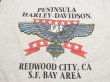 画像10: 90s HARLEY DAVIDSON OFFICIAL TWO TONE SLEEVE BOTH SIDE PRINT T-SHIRT (10)