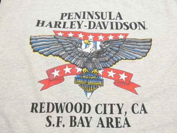 画像10: 90s HARLEY DAVIDSON OFFICIAL TWO TONE SLEEVE BOTH SIDE PRINT T-SHIRT (10)