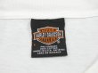 画像3: 90s HARLEY DAVIDSON OFFICIAL BLUR PRINT LOGO DEALER SHOP LONG SLEEVE T-SHIRT (3)