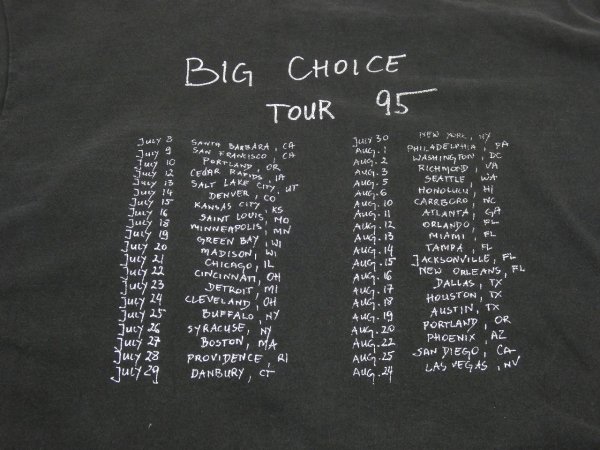画像8: 90s FRUIT OF THE LOOM Face to Face big choice TOUR BAND T-SHIRT (8)