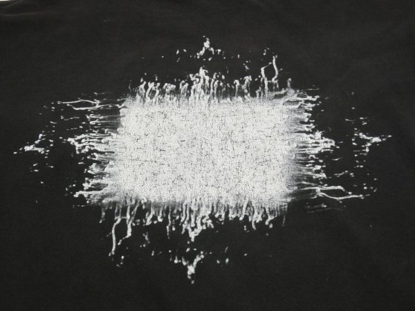 画像14: 90s giant TOOL AENIMA BAND T-SHIRT (14)