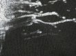 画像15: 90s giant TOOL AENIMA BAND T-SHIRT (15)