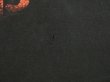 画像8: 00s FRIDAY THE 13TH  JASON MOVIE T-SHIRT (8)