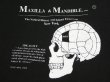 画像5: 90s FRUIT OF THE LOOM Maxilla & Mandible Ltd PHRENOLOGY PRINT T-SHIRT (5)