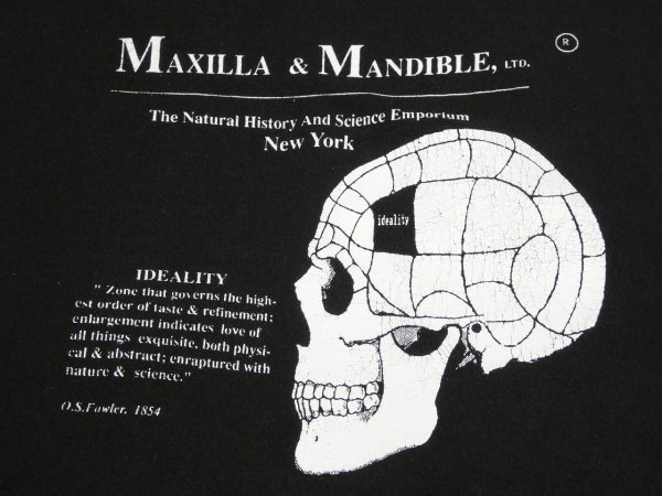 画像5: 90s FRUIT OF THE LOOM Maxilla & Mandible Ltd PHRENOLOGY PRINT T-SHIRT (5)