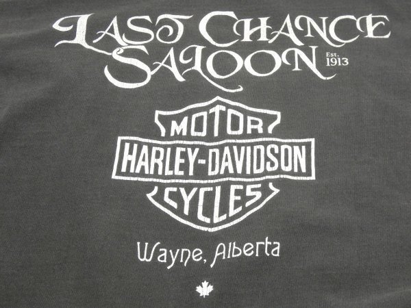 画像12: 90s GILDAN HARLEY DAVIDSON DEALER EVENT PRINT T-SHIRT (12)