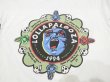 画像5: 90s SCREEN STARS LOLLAPALOOZA BAND T-SHIRT (5)