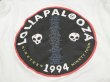 画像9: 90s SCREEN STARS LOLLAPALOOZA BAND T-SHIRT (9)