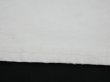 画像12: 80s 90s Carhartt DOUBLE KNEE COTTON PAINTER WORK PANTS WHITE (12)