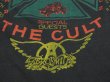 画像10: 80s AREOSMITH PUMP EUROPEAN TOUR with THE CULT BAND T-SHIRT (10)