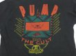 画像9: 80s AREOSMITH PUMP EUROPEAN TOUR with THE CULT BAND T-SHIRT (9)