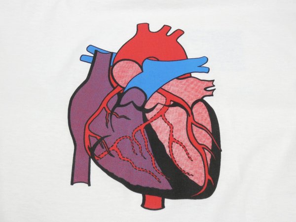 画像5: 90s FRUIT OF THE LOOM PeaceHealth CARDIAC PRINT T-SHIRT DEAD STOCK (5)