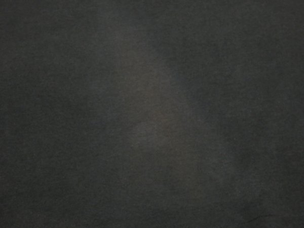 画像9: 90s ONEITA FRANKENSTEIN BOTH SIDE PRINT T-SHIRT (9)