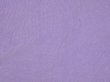画像13: 60s Penneys TOWNCRAFT BLANK SWEAT (13)