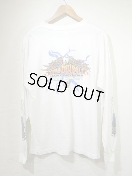 画像2: 00s HOLOUBEK HARLEY DAVIDSON FULL PRINT LONG SLEEVE L/S T-SHIRT MADE IN USA (2)