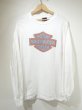 画像1: 90s HARLEY DAVIDSON OFFICIAL BLUR PRINT LOGO DEALER SHOP LONG SLEEVE T-SHIRT (1)