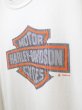 画像7: 90s HARLEY DAVIDSON OFFICIAL BLUR PRINT LOGO DEALER SHOP LONG SLEEVE T-SHIRT (7)